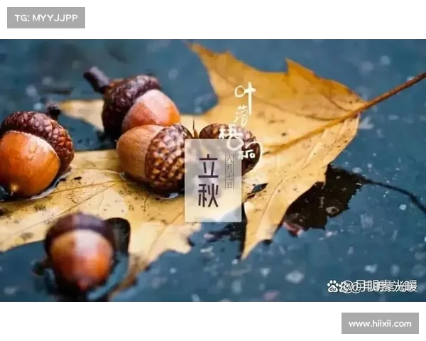 立秋节气解析:今年立秋何时到来,气候变化影响大(今年立秋的具体时间是) 立秋节气解析:今年立秋何时到来,气候变化影响大(今年立秋的具体时间是)